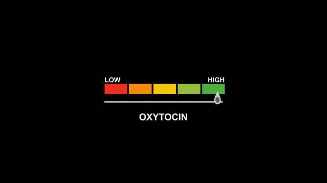 Oxytocin gauge level progress indicator from low to high.Oxytocin text or word with a style gauge, varying levels of hormonal activity and effects in emotional and physical health.