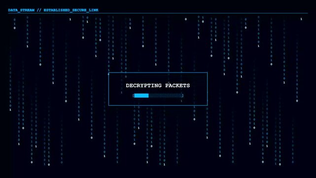 Digital matrix code with decrypting data progress bar