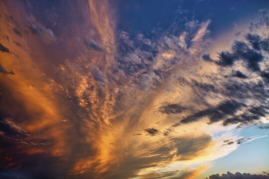 Dramatic, atmospheric cirrocumulus (Cirrocumulus) at sunset