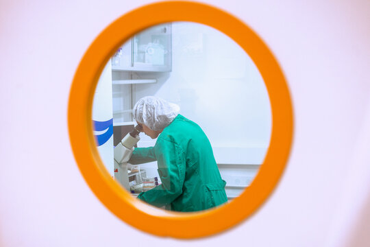 Scientist examining samples under microscope in laboratory setting