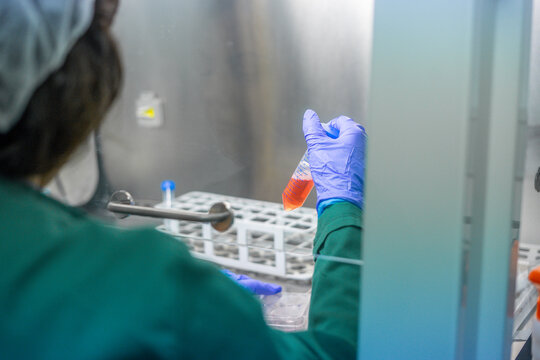 Scientist holding test tube with orange liquid in laboratory