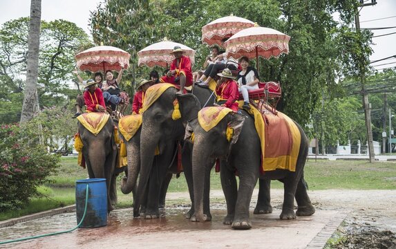 Native tourists riding decorated elephants, Ayutthaya, Thailand