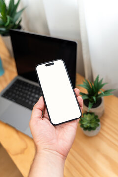 Smartphone with blank screen held over laptop and plants