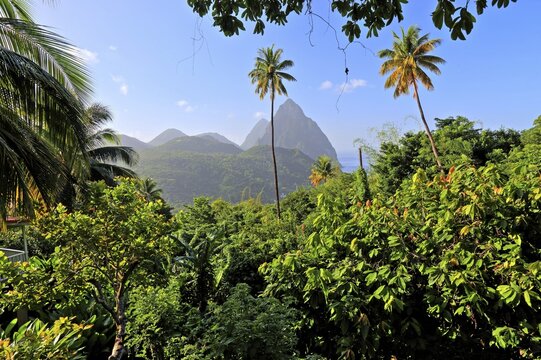 Tropical landscape with the two Pitons, Gros Piton 770m and Petit Piton 743m, Soufriere, St. Lucia, Lesser Antilles, West Indies, Caribbean Islands