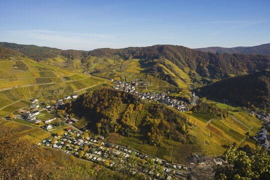 Vineyards in autumn, Mayscho&szlig; with parish church, red wine growing region Ahrtal, red wine of the Pinot Noir and Portugieser grape is grown here, Eifel, Rhineland-Palatinate, Germany