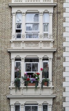 Brick fa&ccedil;ade, typical town house, flower-decorated windows, Francis Street, Westminster, London, Great Britain, England, Great Britain