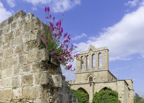 Monastery ruin, Bellapais, district of Kyrenia, Turkish Republic of Northern Cyprus, Cyprus