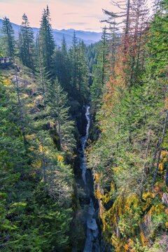 Stevens Canyon, wild river flows through deep gorge, Mount Rainier National Park, Washington, USA