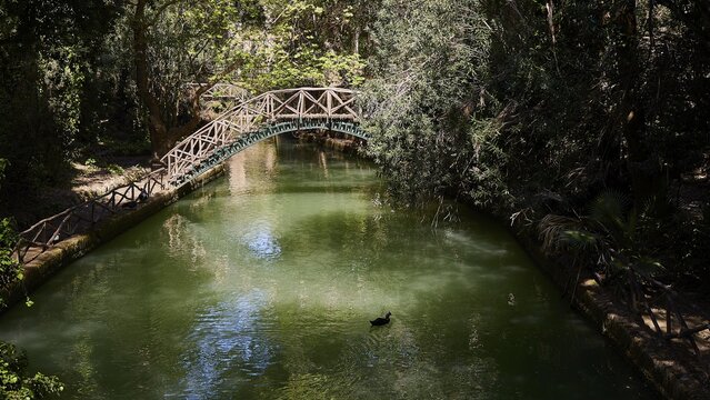 Wooden bridge over a green river in a quiet forest atmosphere, Rodini Park, municipal park, Rhodes Town, Rhodes, Dodecanese, Greek Islands, Greece