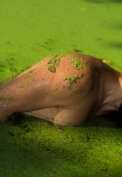 Nature Texture And Body Part Of a Man In Wilderness