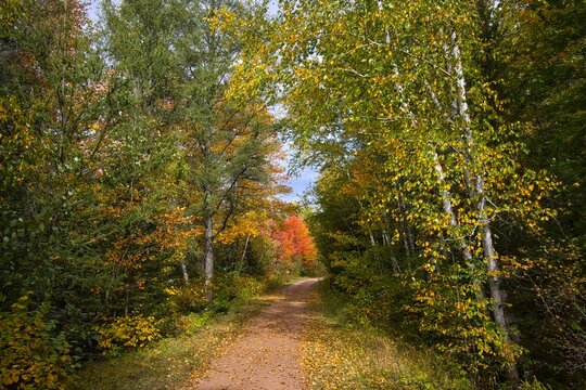 On a sunny autumn day, the Bearskin State Trail passes through a forest displaying bright autumn colors near Minocqua, WI.