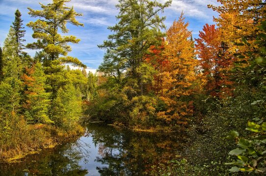Beneath a blue autumn sky, a peaceful stream reflects a beautiful landscape of colorful trees beside the Bearskin State Trail in the forest near Minocqua, WI.