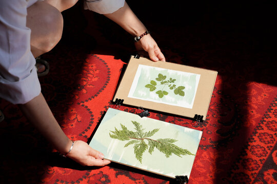 Exposing Cyanotype Prints on a Red Carpet