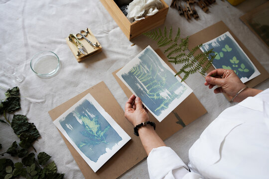 Comparing Cyanotype Fern Prints