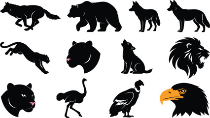 Fototapeta premium Predators and Wild Animals Vector Set Featuring Bold Black Silhouettes of Wolves, Bears, Big Cats, Lions, Panthers, Ostriches, Vultures, and Eagles with Detailed Heads