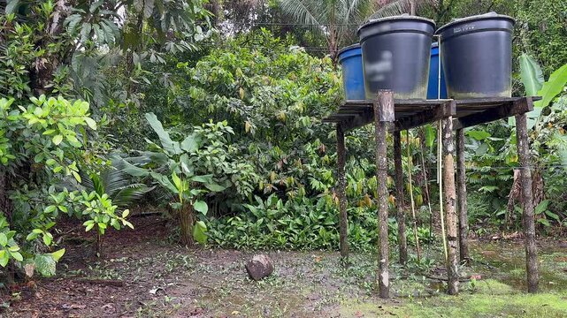 water storage tanks on a wooden platform in a tropical backyard