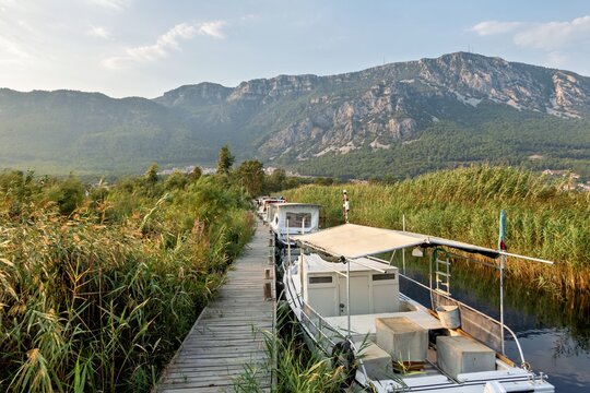 View of small boats moored along a wooden walkway surrounded by tall reeds with mountains in the background in Akyaka, Mugla, Turkey.