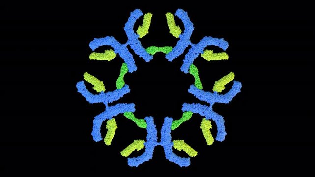 Immunoglobulin M IgM Antibody Endless Rotation 3D Animation
