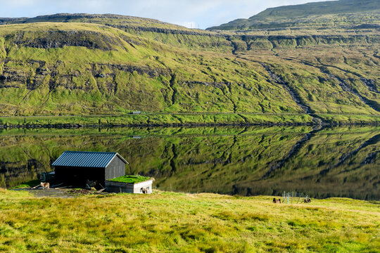 View of a traditional black wooden shed with a grass roof situated on a grassy slope beside a calm fjord reflecting the surrounding green mountains in Faroe Islands.