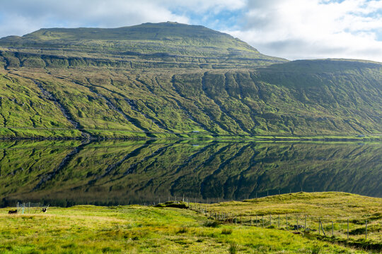 View of a mountain reflected in the calm waters of a fjord with lush green grassy slopes and a fence in the foreground in the Faroe Islands.