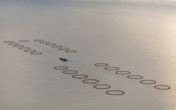View of circular fish farming cages arranged in the sea with a small service boat navigating between them in the Faroe Islands.