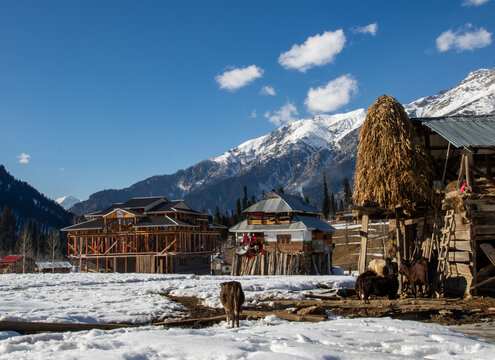 View of traditional wooden houses, haystacks, and livestock in a snowy mountain landscape in Arang Kel, Kashmir, Pakistan.