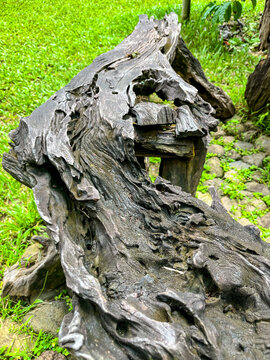 Weathered driftwood log with deeply carved grain and natural hollows, repurposed as a rustic garden bench and resting on lush green grass in a sunlit outdoor setting.