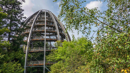 Baumwipfelpfad Bayrischer Wald © RS.Foto