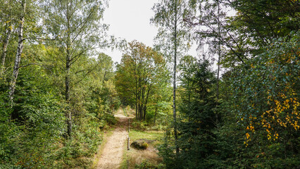 Baumwipfelweg Bayrischer Wald © RS.Foto