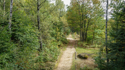 Baumwipfelweg Bayrischer Wald © RS.Foto