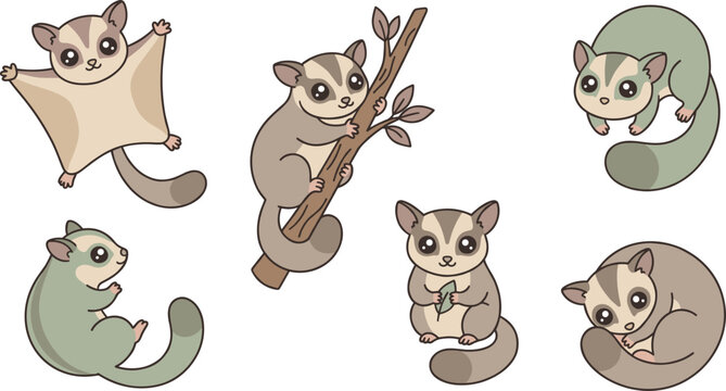Cute sugar glider characters set, flying squirrel, marsupial poses, cartoon vector illustration