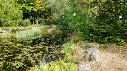 Baumwipfelweg Bayrischer Wald © RS.Foto
