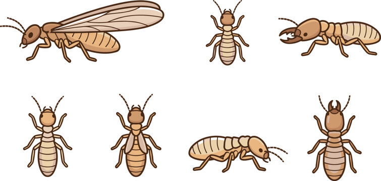 Cute cartoon termite insect set, pest control bug vector illustration design collection