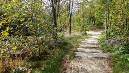 Baumwipfelweg Bayrischer Wald © RS.Foto