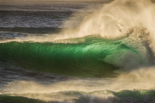 View of a powerful, translucent green wave breaking on the North Shore with sea spray catching the golden sunlight in Haleiwa, Hawaii, United States.