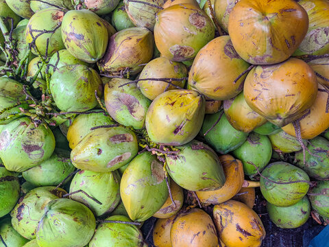 Pile of fresh young coconuts stacked closely together at a busy tropical roadside vendor stall, ready to be sold as refreshing coconut drinking water.