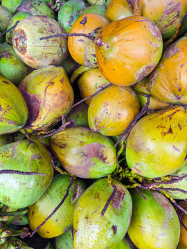 Pile of fresh young coconuts stacked closely together at a busy tropical roadside vendor stall, ready to be sold as refreshing coconut drinking water.
