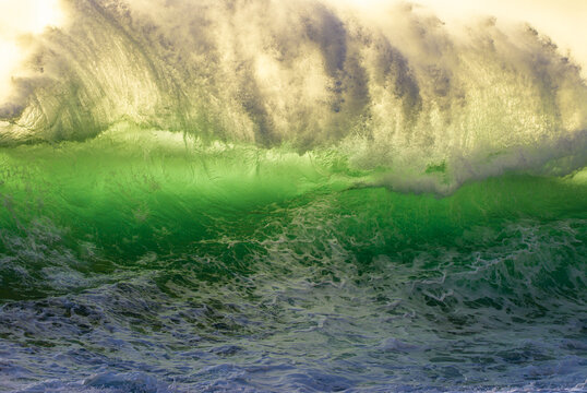 View of a powerful, translucent green ocean wave breaking with white sea foam under golden sunlight at the North Shore, Haleiwa, Hawaii, United States.