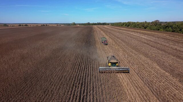 Combine harvester advances through sunflower harvest rows, cutting crop across broad farmland. Agricultural machine leaves parallel stubble and residue as another tractor follows under clear blue sky.