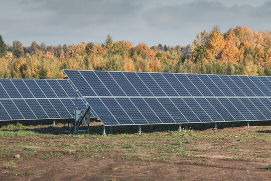 View of solar panels installed in a field with autumn foliage in the background in Tartu County, Estonia.
