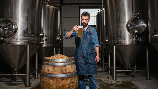 Craft brewer checking quality of sustainable beer brewed with upcycled grain in cellar