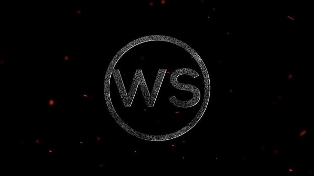 The letters WS stylized with a grainy texture inside a circular frame surrounded by floating embers