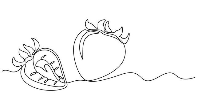 Strawberry, one line drawing animation. Video clip with alpha channel, fruit strawberry berry and slice. Self drawing animation one continuous line draw, logo, designed for World Food Safety Day, safe