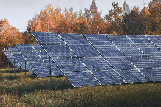 View of solar panels installed in a field surrounded by autumn trees in Otepaa, Valga County, Estonia.