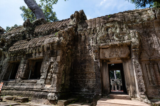 View of the ancient stone ruins of Ta Prohm temple with massive tree roots growing over the weathered walls and intricate carvings in Krong Siem Reap, Siem Reap Province, Cambodia.