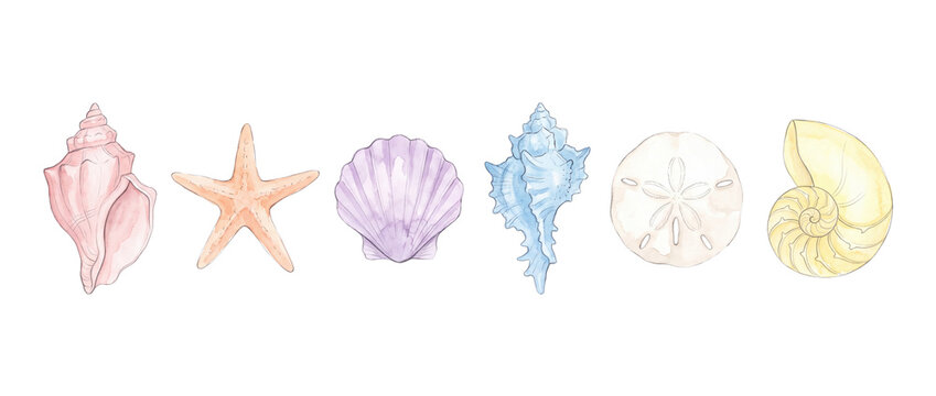 Watercolor seashells set sea shell clipart row featuring pink conch, orange starfish, purple scallop, blue shell, sand dollar, and nautilus isolated on black background for summer ocean graphic design
