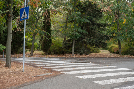 A blue pedestrian crossing sign stands beside a painted zebra crossing across a quiet park road bordered by lush green trees