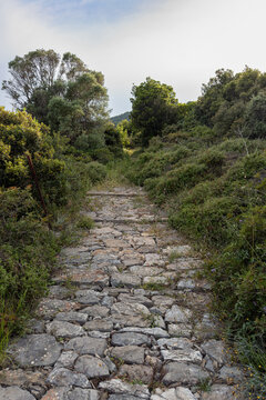 Hiking trail to Kalovoulos mountain on Alonissos