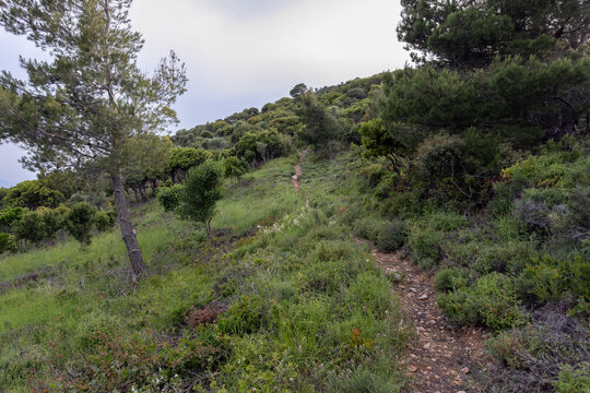 Hiking trail to Kalovoulos mountain on Alonissos