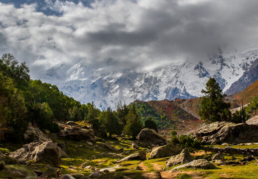 View of the majestic Nanga Parbat mountain peak rising above the lush green landscape of Fairy Meadow with scattered pine trees and large boulders, Fairy Meadow, Gilgit, Pakistan.